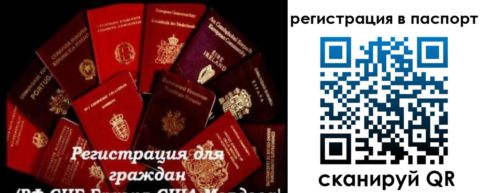 миграционный учет в Лисках